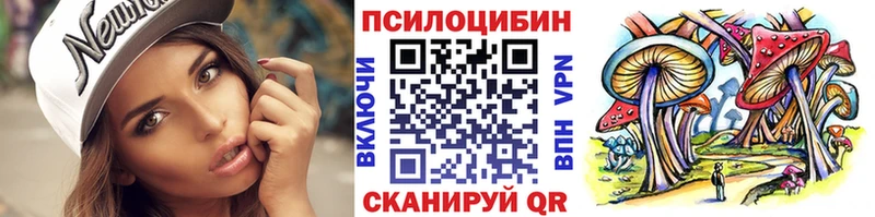 закладки  Дмитровск  ОМГ ОМГ как войти  Псилоцибиновые грибы Magic Shrooms 